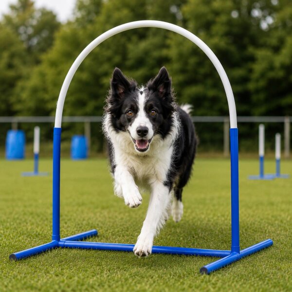 Hoopers Basics I Mittwoch I 18 Uhr